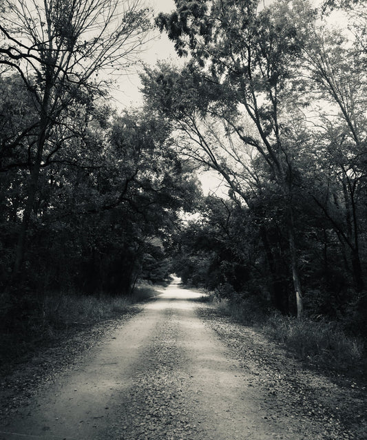 THE ROAD NOT TAKEN