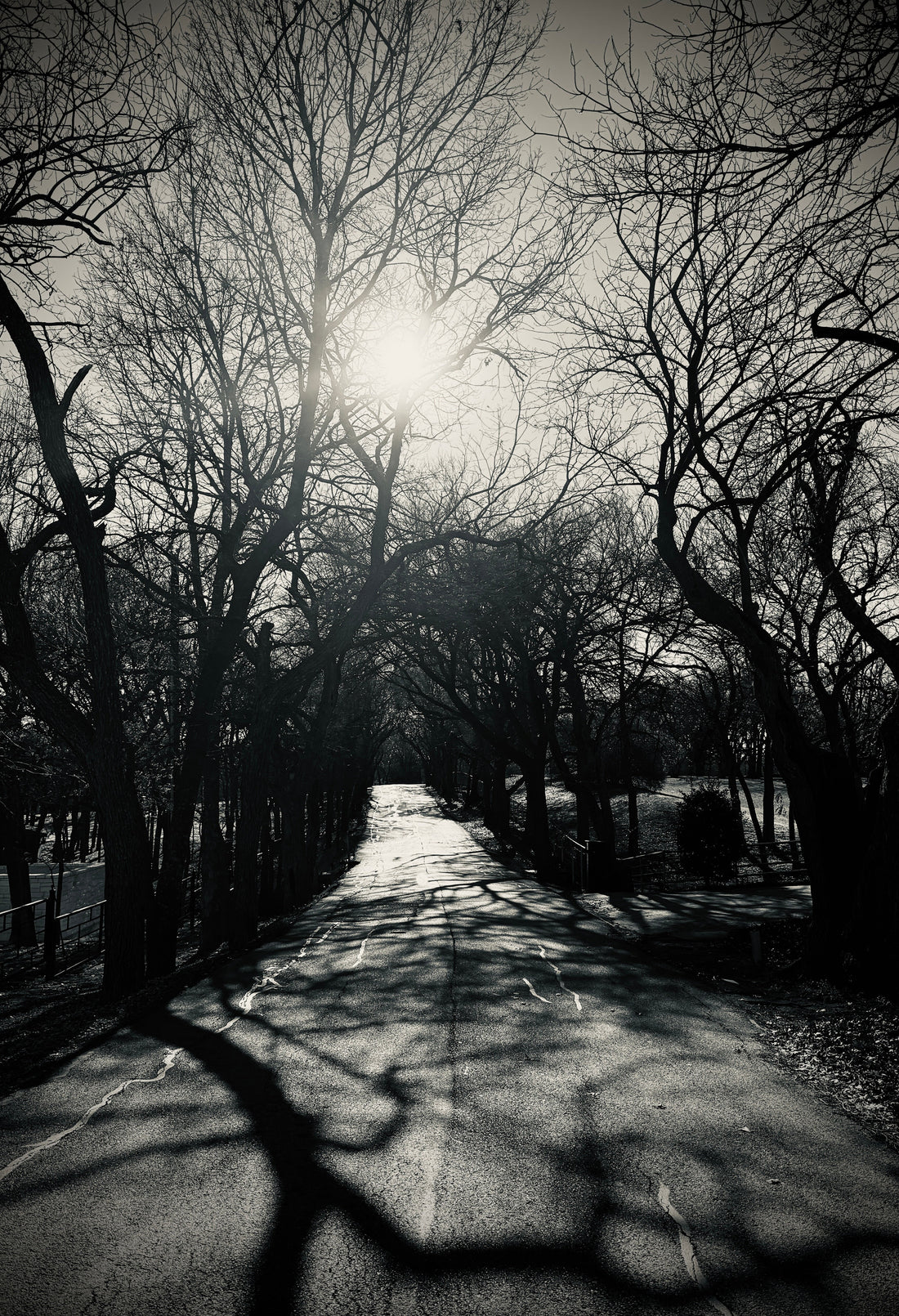 Photograph by HJ McEnroe, copyright 2025