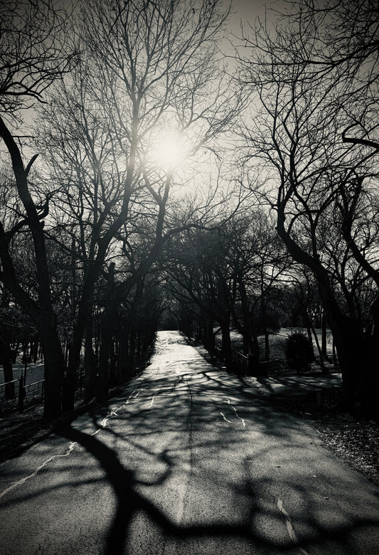 Photograph by HJ McEnroe, copyright 2025