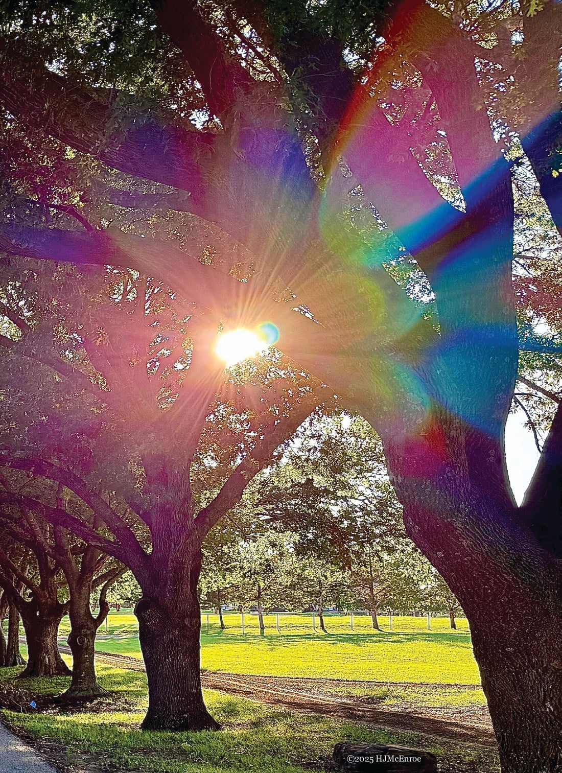 In Search of My Voice:  Oasis #3 – The Light